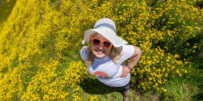 Overhead view of a woman in a yellow wildflower field wearing hiking clothing and a straw sun hat.