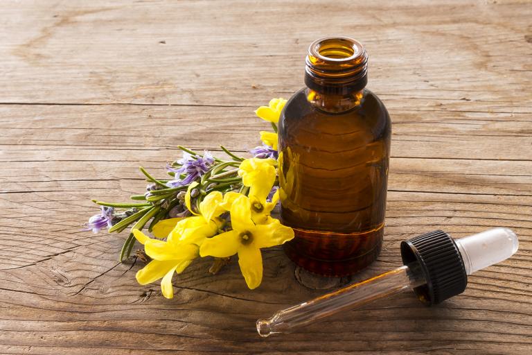 traditional medicine yin qiao san and a sprig of forsythia